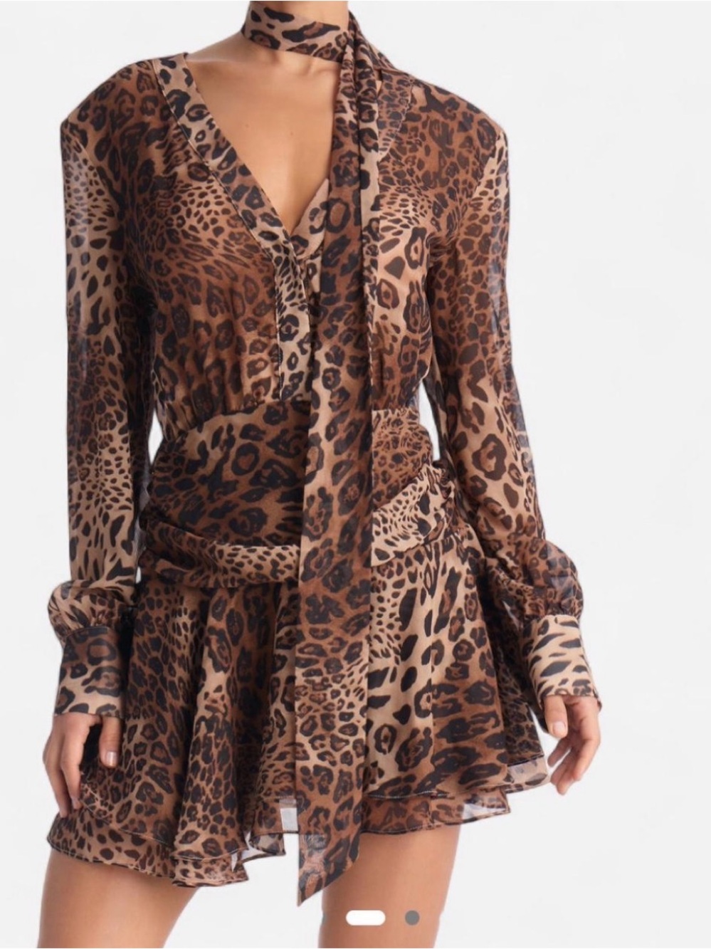 Leopard Print Brown Tie-Neck Mini Dress